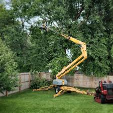 Best Weed Control  in Lonaconing, MD