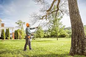 Best Grass Overseeding  in Lonaconing, MD